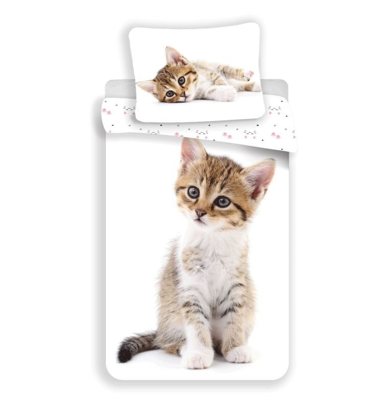 Obliečky Kitten mačka white