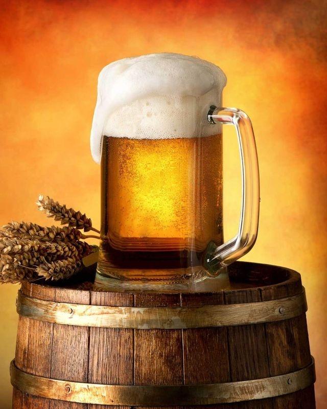 Plyšová deka Pivo