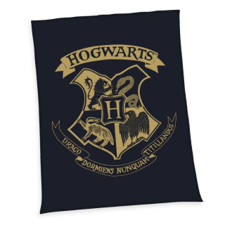 Plyšová deka Harry Potter 150/200