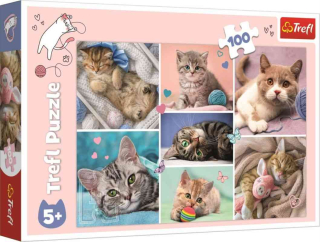 Puzzle svet mačiatka 100 dielikov
